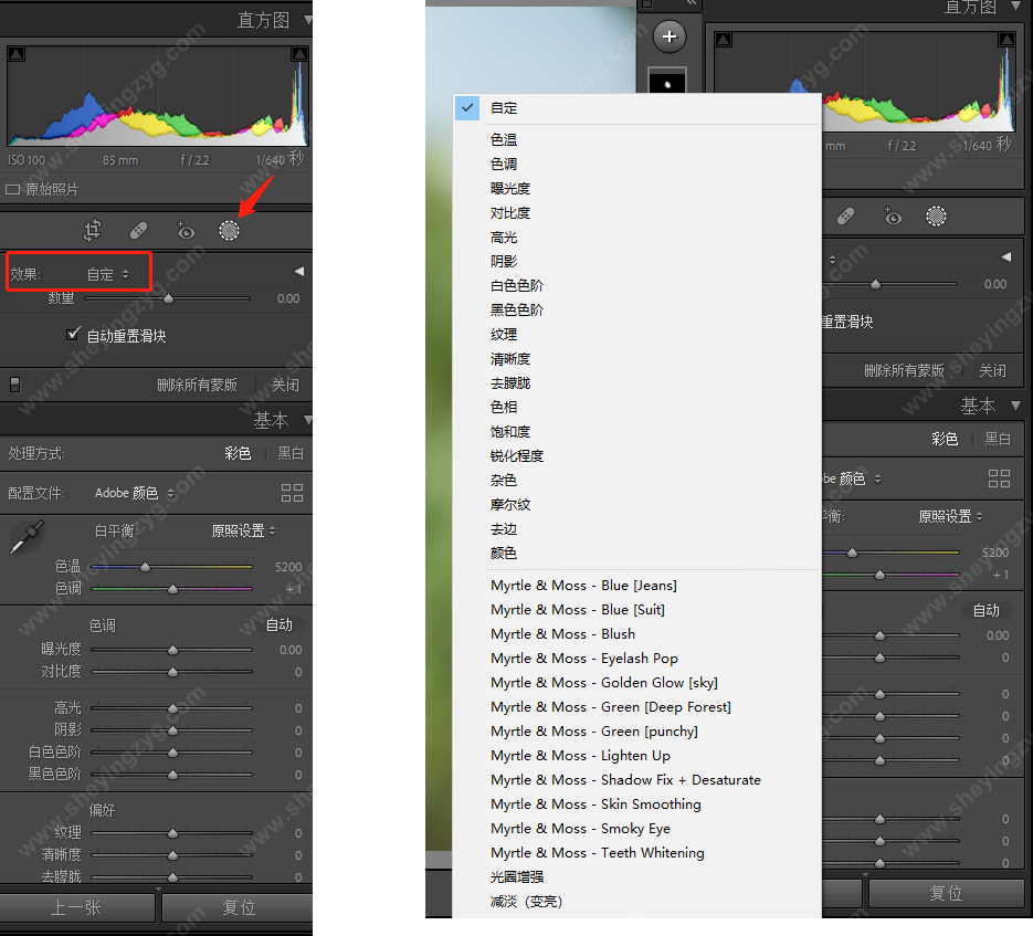 lightroom笔刷、Camera Raw笔刷导入与使用方法 调整画笔导入与使用