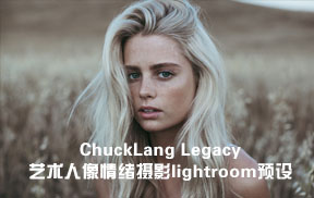 【P14】ChuckLang Legacy艺术人像情绪摄影Lightroom预设