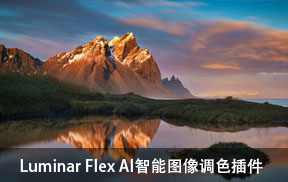 【S833】Luminar Flex中文版 AI智能图像调色插件 win/mac PS2020