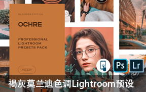【P126】褐灰莫兰迪色调Lightroom预设 VEER Ochre Lightroom Presets