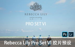 【P157】摄影师Rebecca Lily Set VI胶片预设第六部