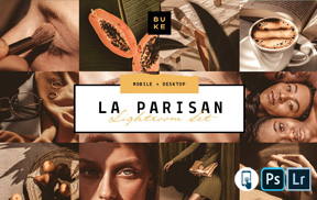 【P172】莫兰迪棕色复古胶片LR/PS预设 BukeShop La Parisan Lightroom Presets