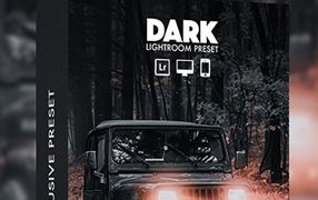【P413】黑暗效果-Lightroom预设Dark Effect – Lightroom Preset