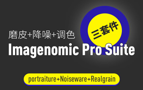 【S1140】PS磨皮降噪调色滤镜插件三件套Imagenomic Pro Suite1739 汉化版WIN/MAC