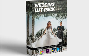 【P556】婚礼 LUT 包 – Final Cut Pro / Adob​​e Premiere Pro