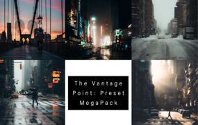 【P577】美国街拍摄影师Lerone Pieters 人文纪实摄影预设Vantage Point预设超级包