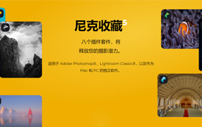 【S1150】DxO Nik Collection 5.2 中文版插件套装WINX64+MAC 含系统教程