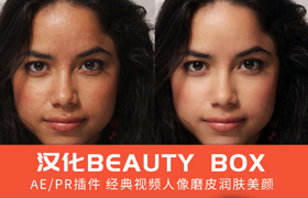 【A217】AE/PR视频人像美颜磨皮插件Beauty Box5.0.8中文汉化版Win