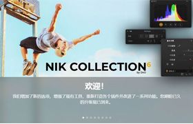 【S1263】 Nik Collection 6.5(Nik插件套装)DxO Nik Collection  WIN中文版