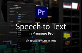 【A230】Adobe 2024 PR语音转字幕转换插件Speech to Text for Premiere Pro