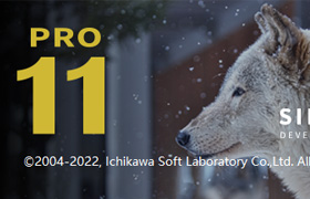 【S1328】SILKYPIX Developer Studio Pro 11.0.13.0 x64汉化版|WinX64|RAW照片处理软件WinX64