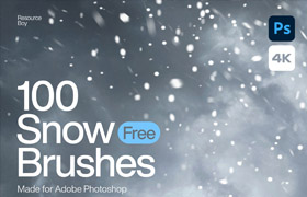 【M379】100个雪花Photoshop画笔 100 Snow Photoshop Brushes