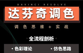 【A232】达芬奇调色思维课程