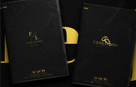 【P679】benj™ Ceremony x 电影外观预设包benj™ Ceremony x Film Look Presets Pack