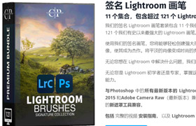 【P680】PS Camera Raw和Lightroom画笔预设合集Signature Lightroom Brushes – Clever Photographer