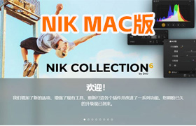 【S1264】N-ik Collection 6 (Nik插件套装)D-x-O N-ik Collection 6.8.0 MAC中文版