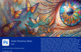 【S1348】Adobe Photoshop2024 (Beta) 25.6 m2515中文版，免安装，WIN 含移除工具，参数滤波器