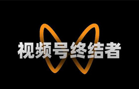 【S1455】视频号下载工具 支持Win