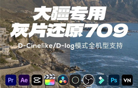 【P702】DJI大疆无人机航拍灰片还原LUT预设DCinelike Dlog-m LUT调色滤镜