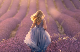 【M421】光效散景叠加图片素材