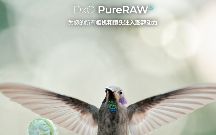 【S1484】D-x-O P-ureRAW v5.7中文版+光学模块+RAW练习图 WIN