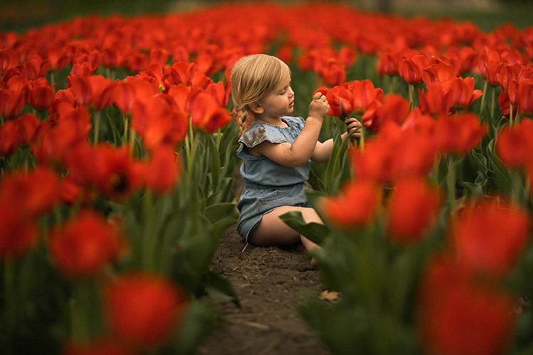 【P725】Meridian – Meg Loeks – Natura神奇的PS/LR预设 + 工具包 含视频教程